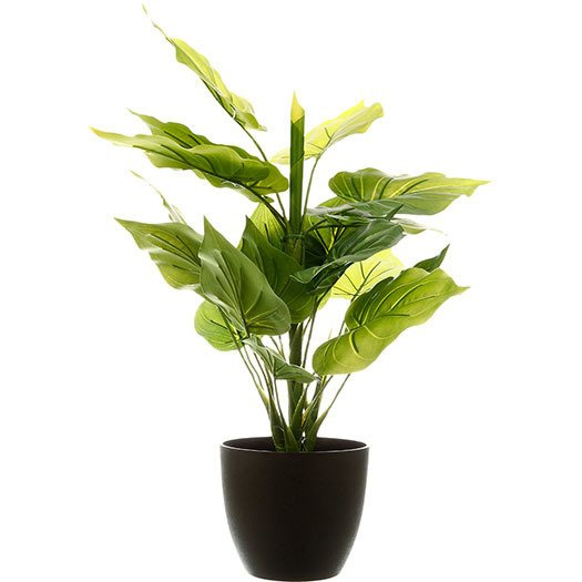 Planta ornamentala artificiala, 45 cm, naturala la atingere