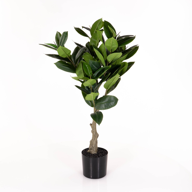 Planta artificială arbore de cauciuc, 69 cm