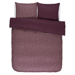 Set de lenjerie de pat din bumbac satinat, 100% bumbac, 200 x 220 cm, Essenza