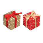 Decor de Craciun cu tematica cadou, 2 buc.