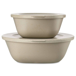 Recipient cu capac 0,7l + 1,3l, CONNECT BOX SET KOPENHAGEN, set 2 buc, KOZIOL