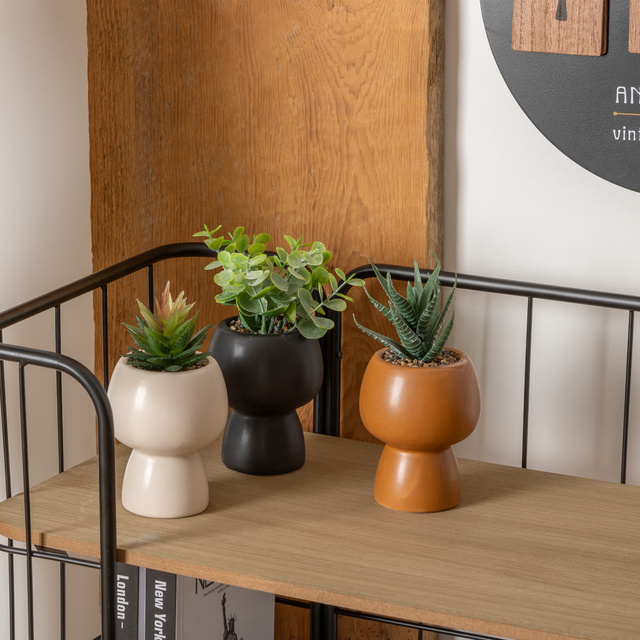 Suculentă Livy înălțime 17 cm ASR expusă -teracotă