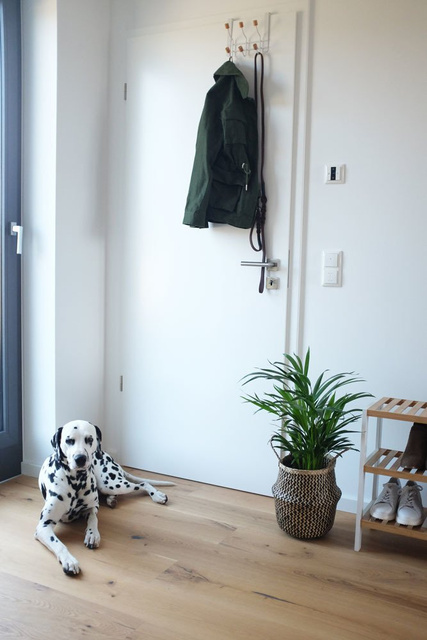 Dulap pantofi, suport exterior din fibre de bambus