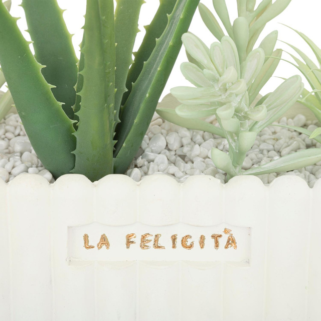 Planta artificiala Rivi, 14 x 20 cm