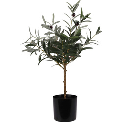 Planta artificiala de maslin, 66 cm