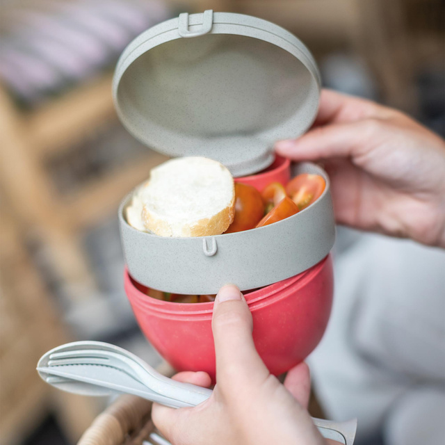 Cutie mic dejun, recipient pentru salata si sos BENTOBOX M, 2 elemente, KOZIOL