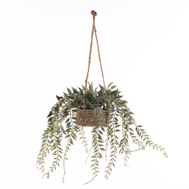 Plantă suspendată PATRI Ø 14 cm cu ghiveci din fibre naturale