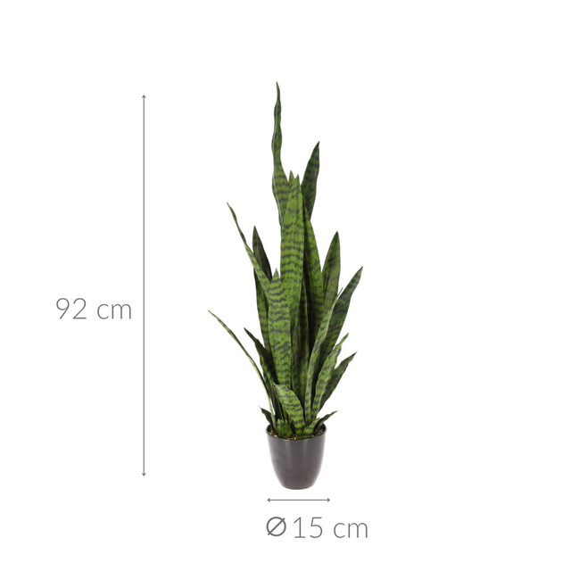 Planta artificiala de interior SANSEVIERIA GUINEEANA, 92 cm