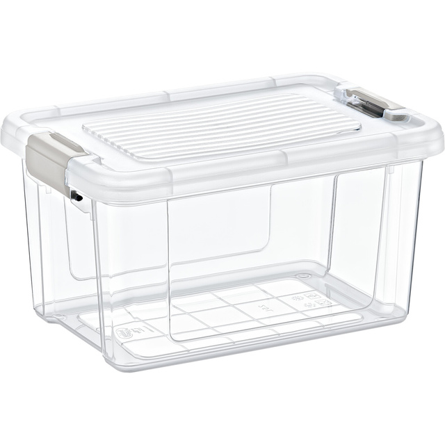Cutie de depozitare transparenta, 22 x 15 x 12 cm