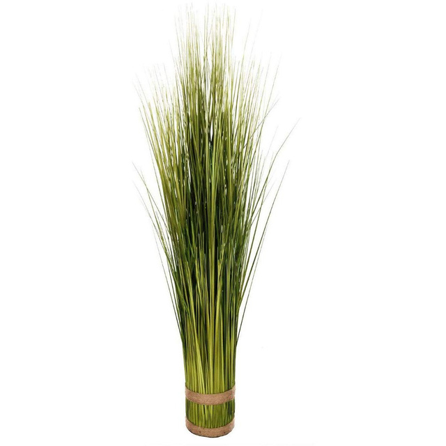 Iarba decorativa, Verde, 100 cm