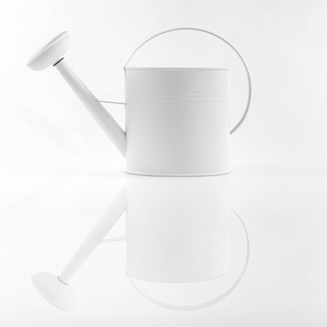 Stropitoare din cupru pentru gradina Florentine, 3,5 l