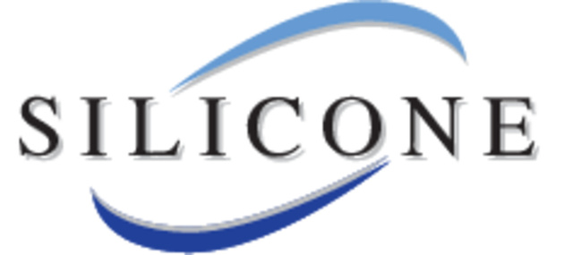 Racleta pentru fereastra si podea ROSOLE cu coada lunga