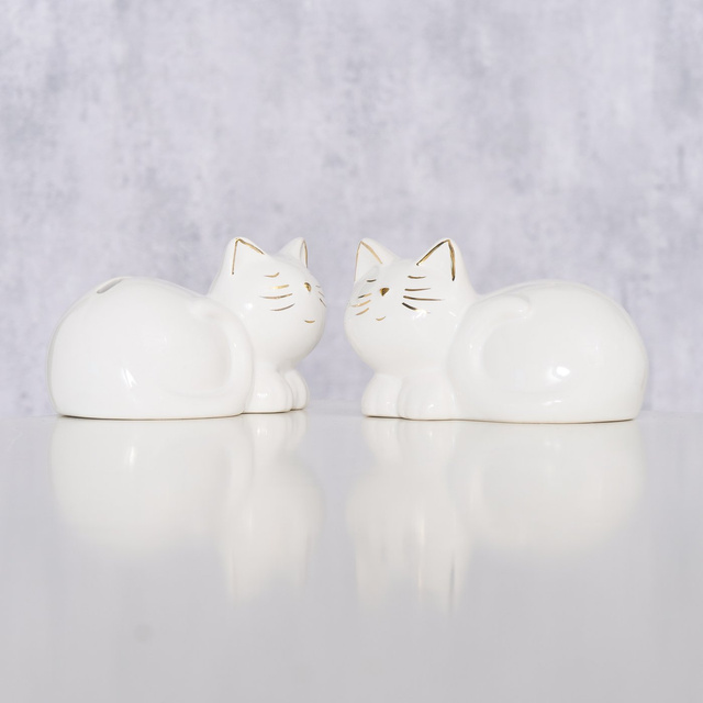 Pușculiță cu fund deschis, CATTY