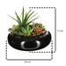 Plante artificiale, Ø 20 cm, o compoziție de plante suculente