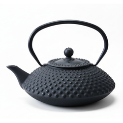 Ceainic din fontă cu infuzor MIKA, 1250 ml, negru