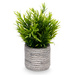 Suculent artificial în ghiveci cu dungi FEGREE, Ø 10 cm