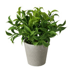 Planta artificiala in ghiveci de ciment FERIGA, 17 cm