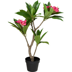 Copac artificial în ghiveci Frangipani, 50 x 90 cm