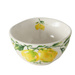 Bol pentru supă LEMONY, 500 ml