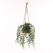 Plantă suspendată PATRI Ø 14 cm cu ghiveci din fibre naturale