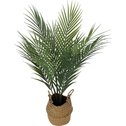Planta de palmier artificiala in cos, 64 cm