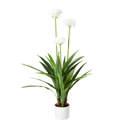 Floare artificială mare în ghiveci Agapant, 70 x 120 cm, albă