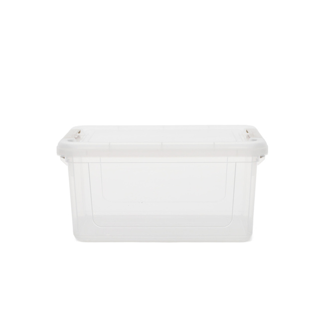 Cutie de depozitare transparenta, 29 x 19 x 14,5 cm