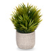 Suculent artificial în ghiveci FEGREE, Ø 10 cm