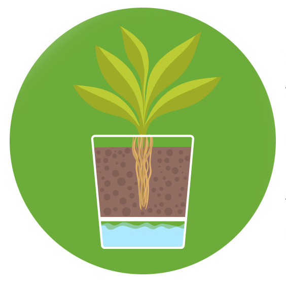 Ghiveci cu auto-udare, plastic, antracit