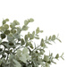 Buchet de eucalipt James înălțime 30 cm -verde