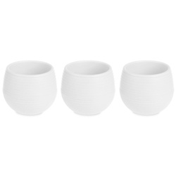 Ghivece cu flori cu auto-udare, plastic, 3 buc, Ø 6 cm
