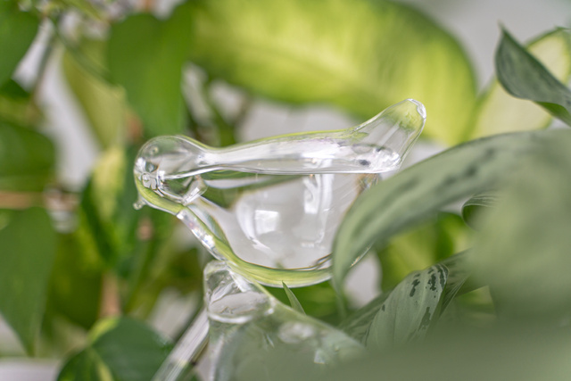 Irigator din sticlă pentru udarea plantelor PTAK - 2 bucăți în set