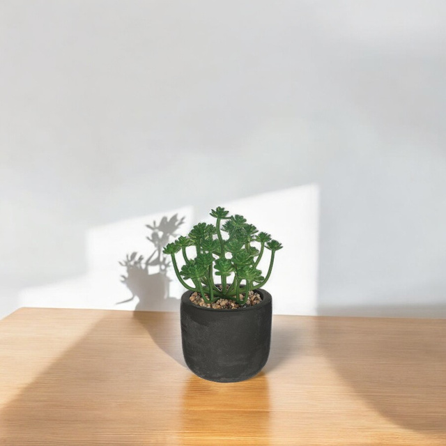 Flori artificiale in ghiveci DESERT, 20 cm