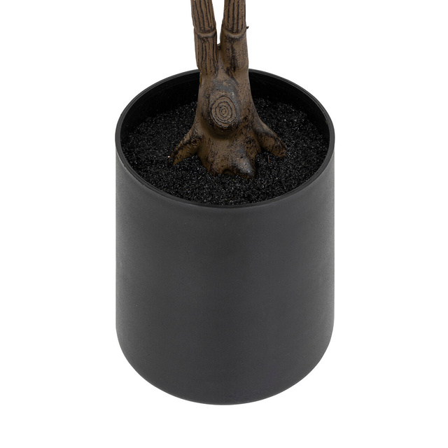 Magnolie vintage 78 cm înălțime cu ghiveci din plastic