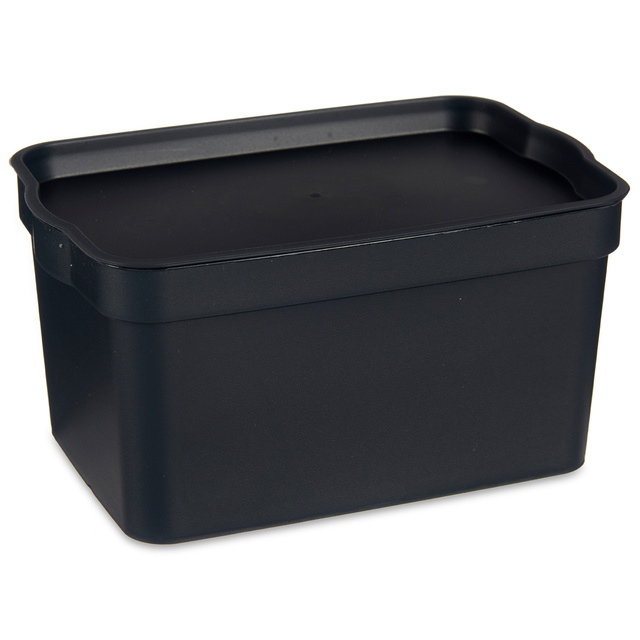 Cutie de depozitare din plastic, 2,3 l