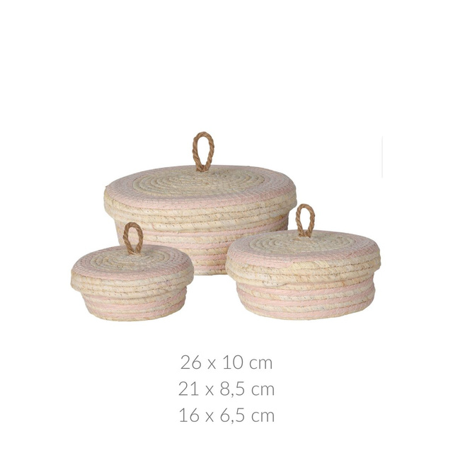 Recipiente de depozitare cu capac, 3 buc