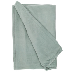 Pătură din pluș 180 x 220 cm, verde deschis