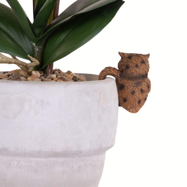 Culoare pentru ghiveci Animal vesel, polyresin, 9 x 4,5 x 8 cm