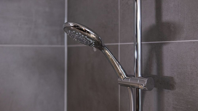 Cap de dus cu functie de economisire apei, Ø 11 cm, 5 setari, WENKO