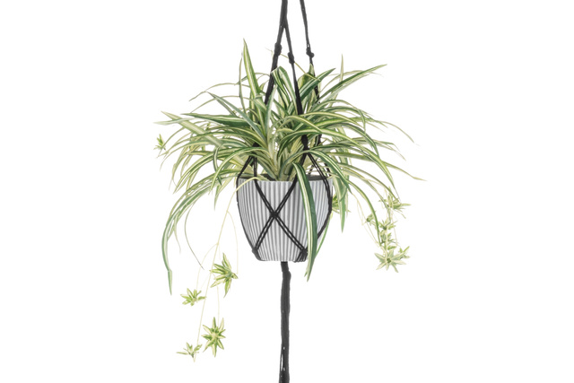 Plantă artificială într-un ghiveci suspendat Zielistka