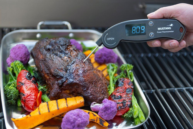 Termometru digital pentru carne MUSTANG