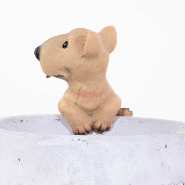 Decor pentru ghiveci, in forma de catel