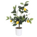 Copac decorativ cu lămâi, 58 cm