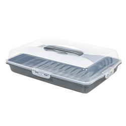 Cutie portabila pentru tort, 44 x 31 x 10 cm