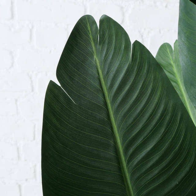 Planta de banane artificiala, inaltime 185 cm