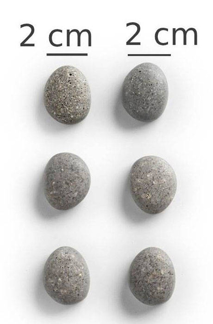 Magneți STONE, polirășină, 6 bucăți, ZELLER