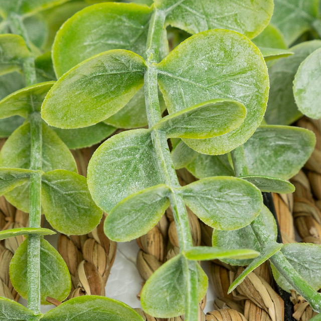 Planta de eucalipt suspendată naturală Zea înălțime 70 cm