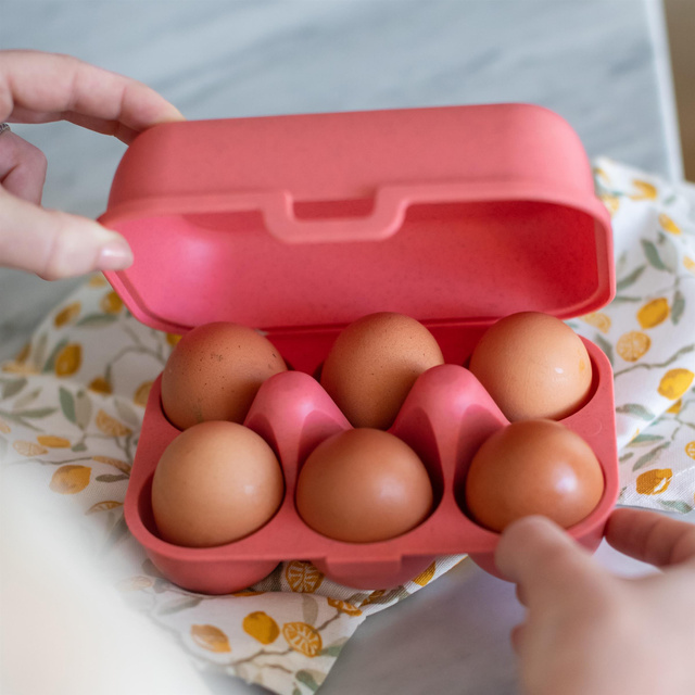 Recipient pentru ouă EGGS TO GO MINI, pentru 6 ouă, KOZIOL