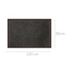 Covoras de intrare TELIO, 80 x 120 cm
