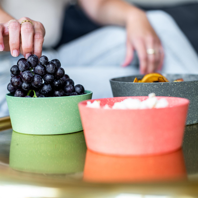 Boluri pentru supă CONNECT, 890 ml, 2 bucăți, KOZIOL